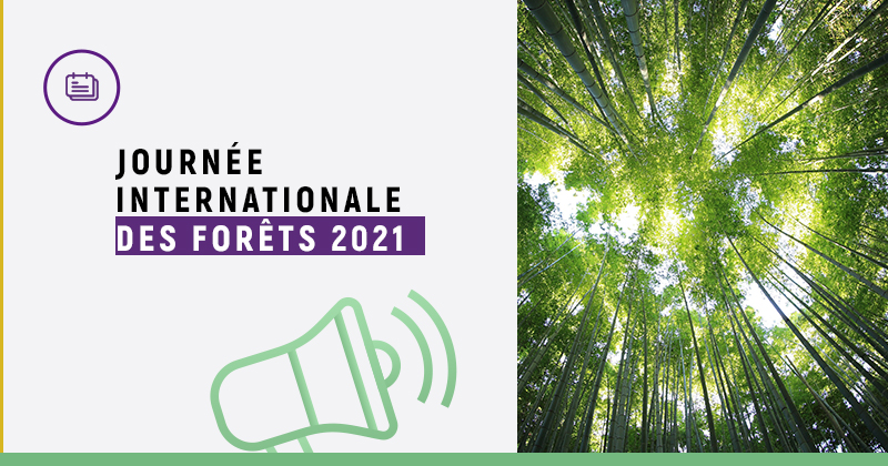 Riso | Journée internationale des forêts 2021