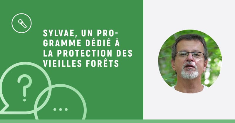 Blog Riso - Sylvae, un programme dédié à la protection des vieilles forêts